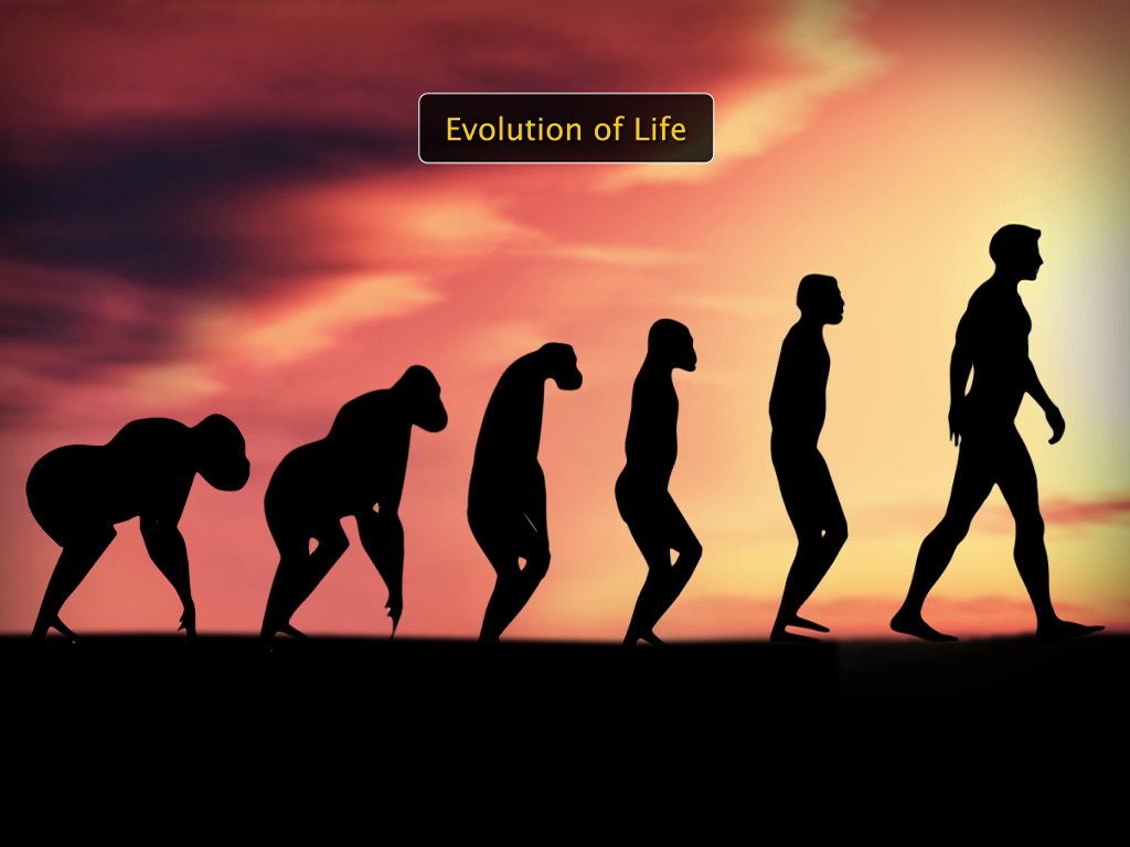 Evidences of Evolution